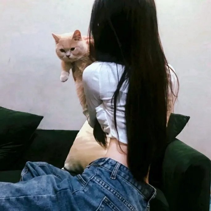 爱在时光倒转时