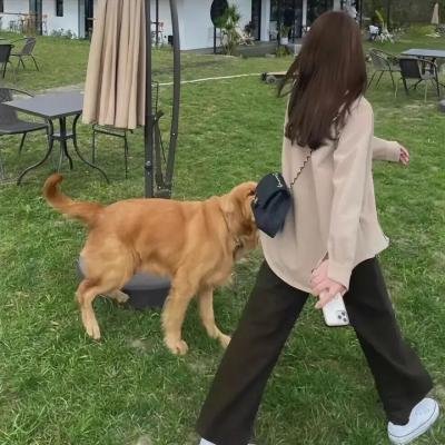 生离死别